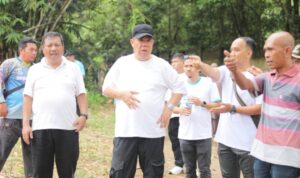 IMG_20251116_224454_864